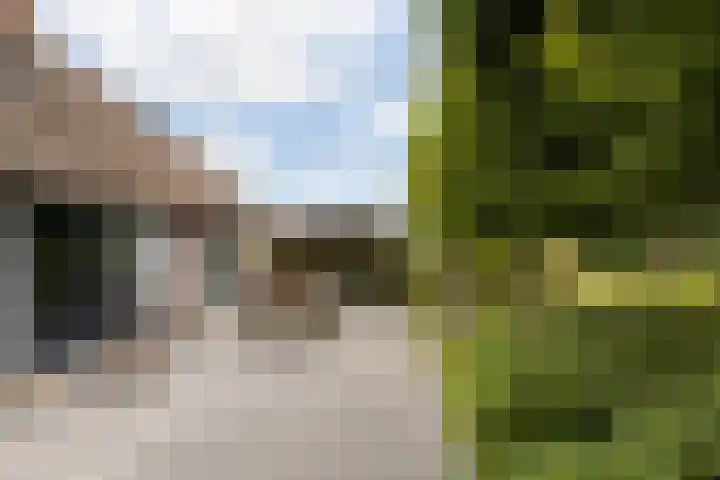 Riebroekseweg 32 Ermelo thumbnail 53