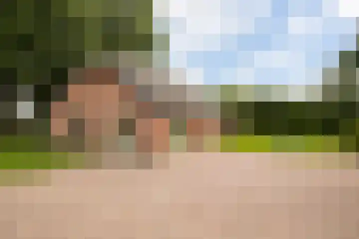 Riebroekseweg 32 Ermelo thumbnail 55