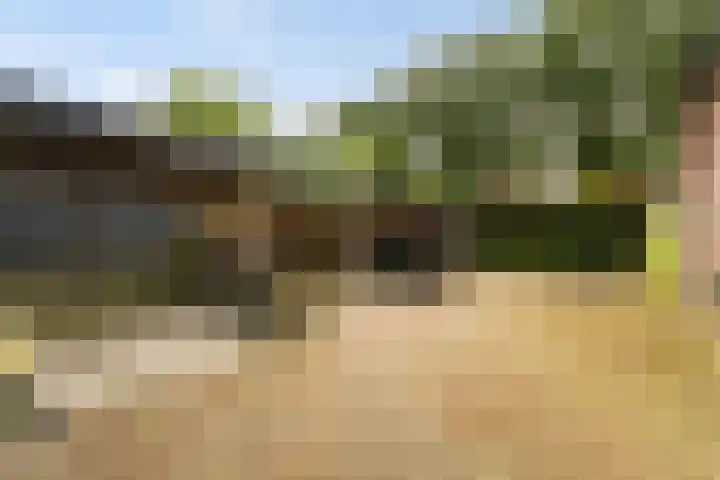 Riebroekseweg 32 Ermelo thumbnail 61