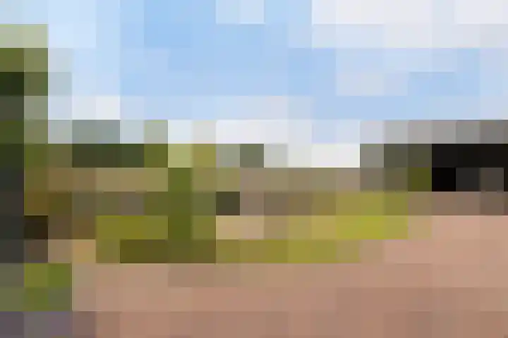 Riebroekseweg 32 Ermelo thumbnail 62