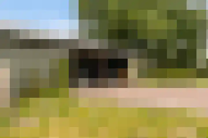 Riebroekseweg 32 Ermelo thumbnail 63