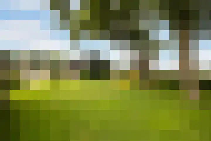 Riebroekseweg 32 Ermelo thumbnail 66