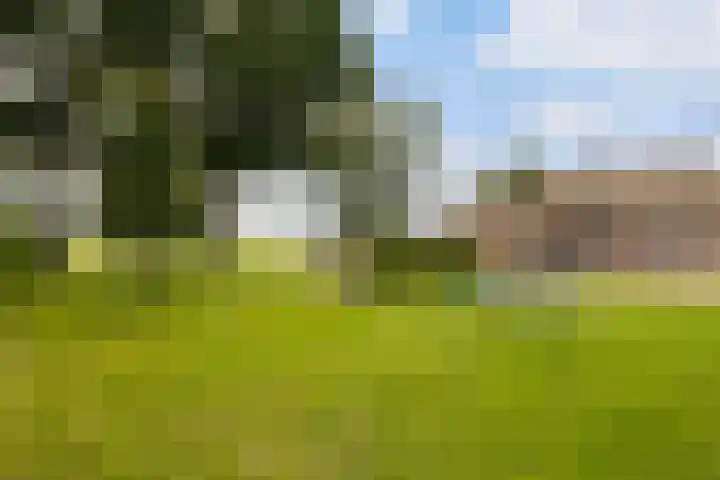 Riebroekseweg 32 Ermelo thumbnail 67