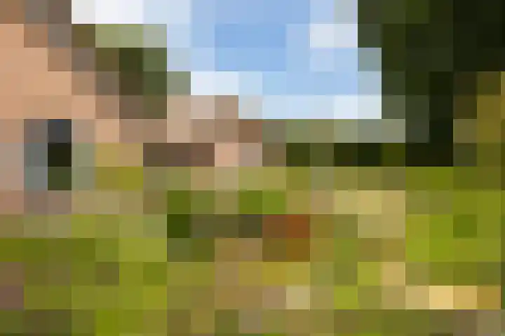 Riebroekseweg 32 Ermelo thumbnail 72