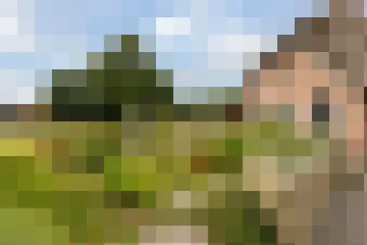 Riebroekseweg 32 Ermelo thumbnail 74