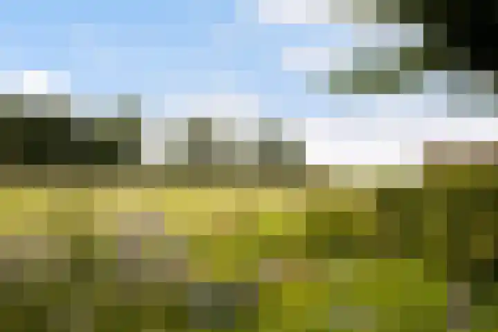 Riebroekseweg 32 Ermelo thumbnail 75