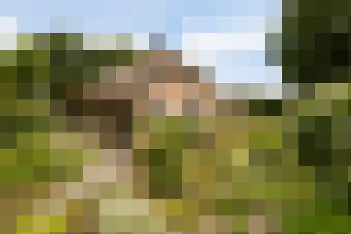 Riebroekseweg 32 Ermelo thumbnail 76
