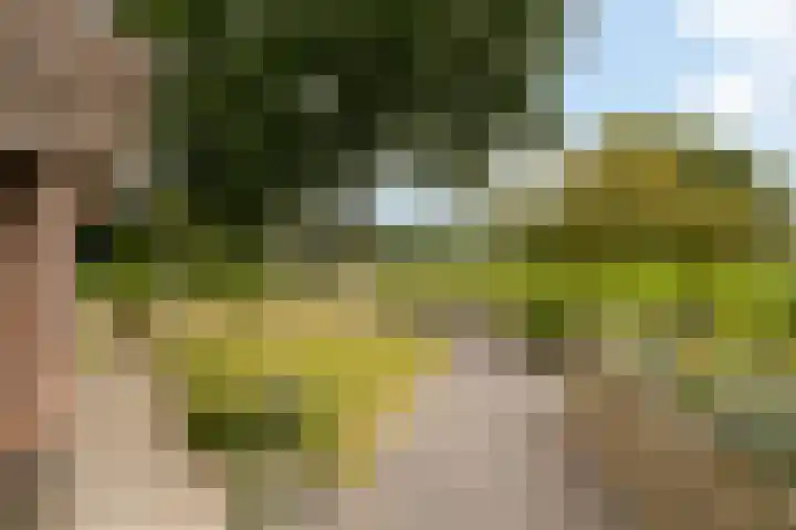Riebroekseweg 32 Ermelo thumbnail 77