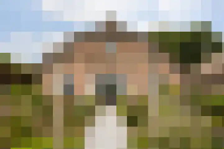 Riebroekseweg 32 Ermelo thumbnail 78