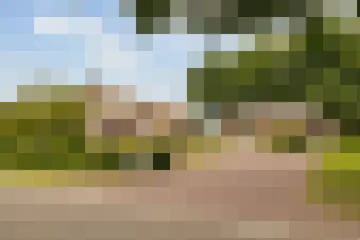 Riebroekseweg 32 Ermelo thumbnail 80