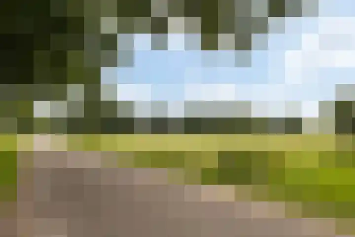 Riebroekseweg 32 Ermelo thumbnail 81