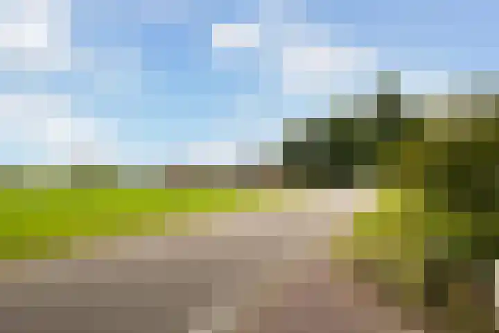 Riebroekseweg 32 Ermelo thumbnail 82