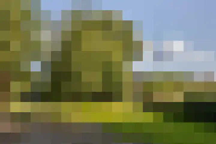 Riebroekseweg 35 Ermelo thumbnail 41
