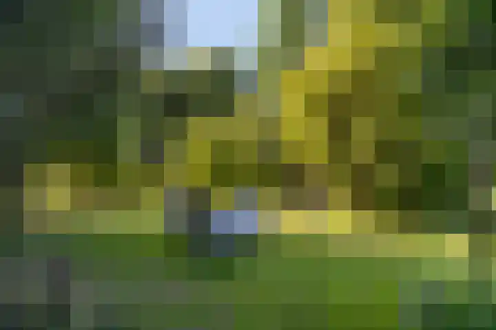 Riebroekseweg 35 Ermelo thumbnail 42