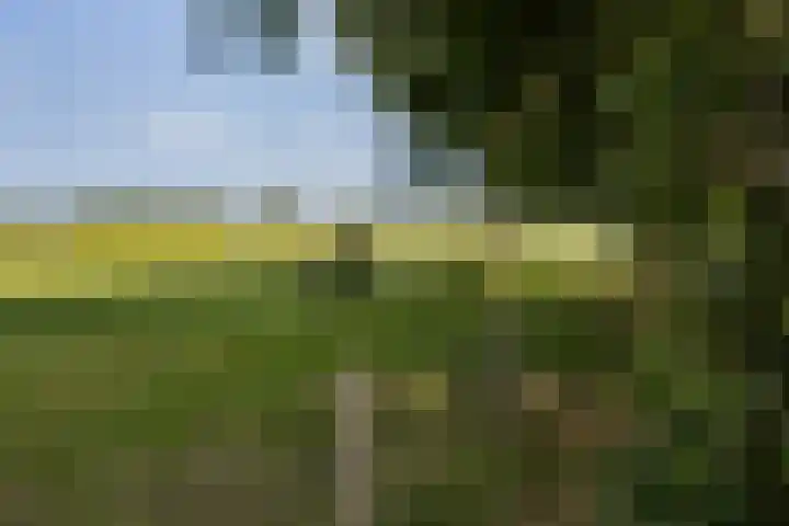 Riebroekseweg 35 Ermelo thumbnail 43
