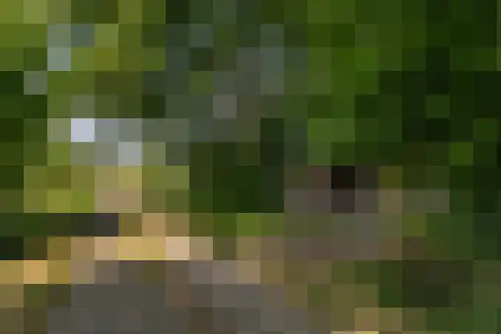 Riebroekseweg 35 Ermelo thumbnail 45