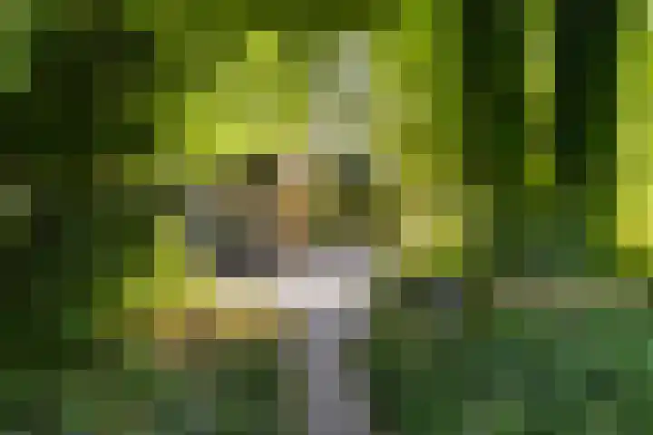 Riebroekseweg 35 Ermelo thumbnail 47