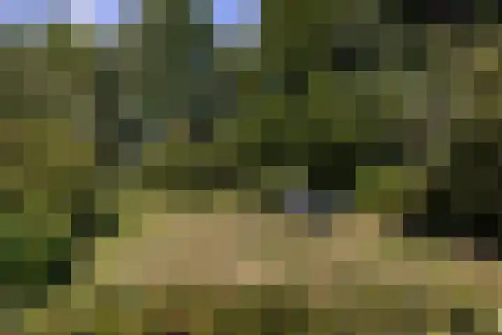 Riebroekseweg 35 Ermelo thumbnail 48
