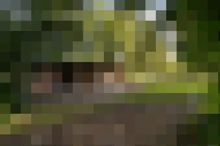 Riebroekseweg 35 Ermelo thumbnail 49