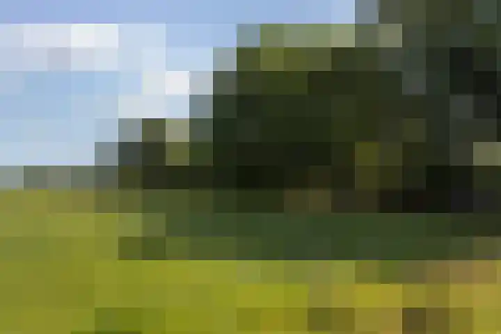Riebroekseweg 35 Ermelo thumbnail 52