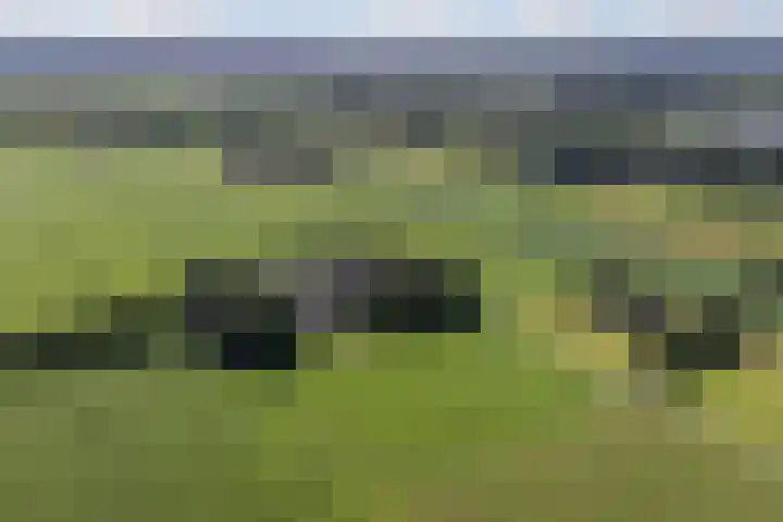 Riebroekseweg 35 Ermelo thumbnail 54