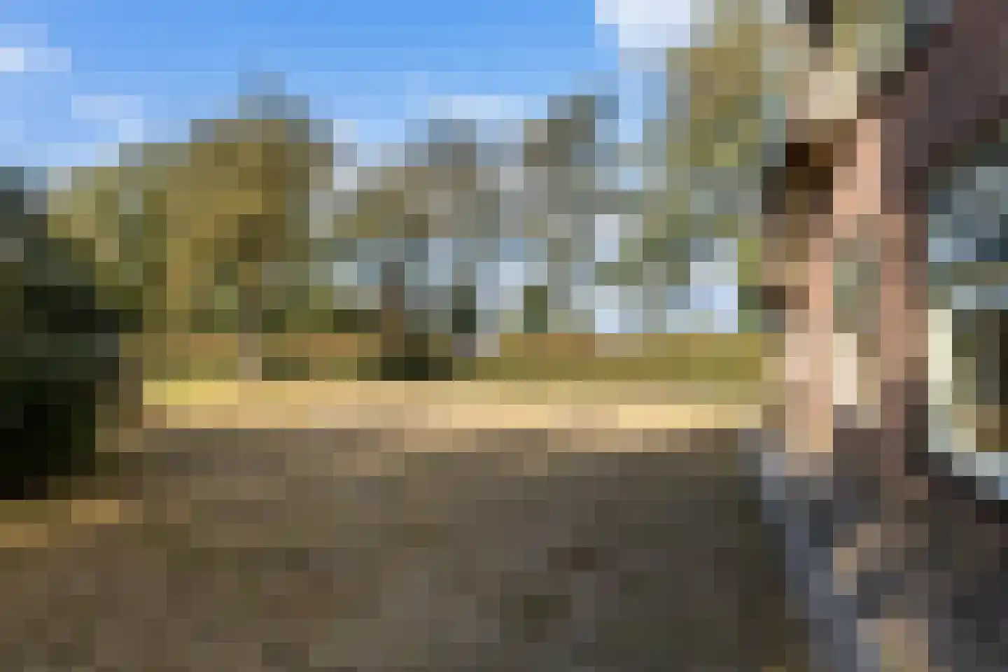 Riebroekseweg 49 Ermelo thumbnail 30