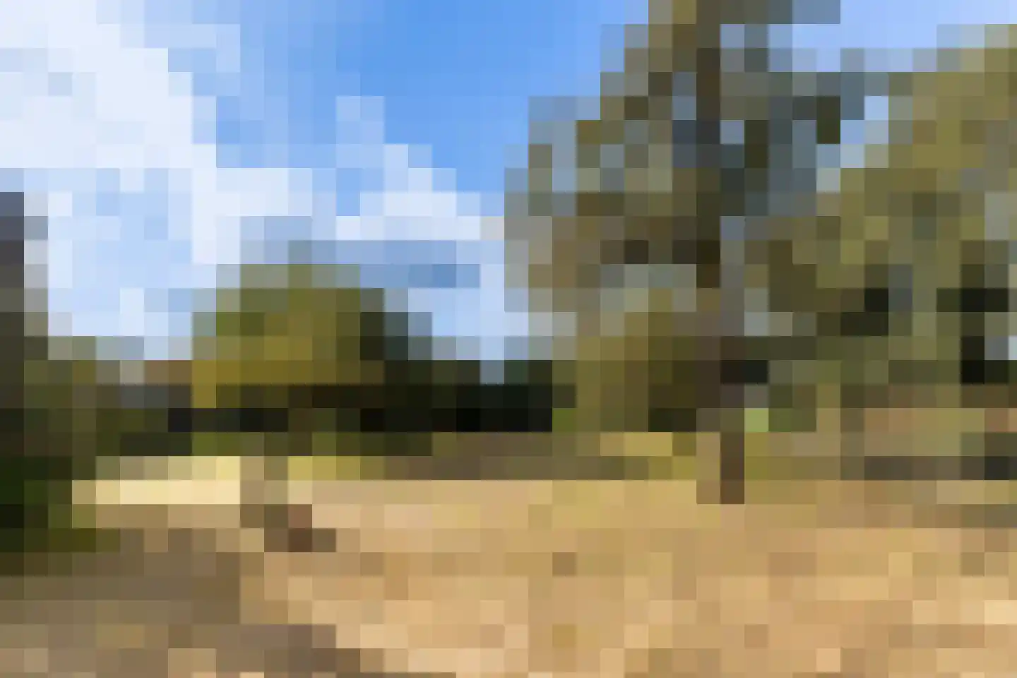 Riebroekseweg 49 Ermelo thumbnail 31