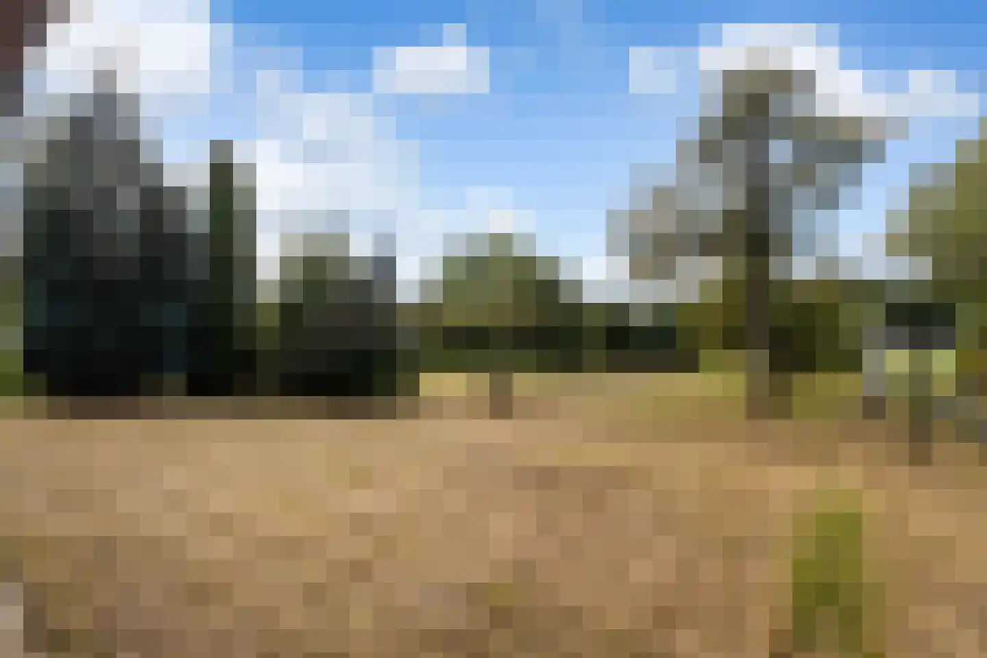 Riebroekseweg 49 Ermelo thumbnail 32