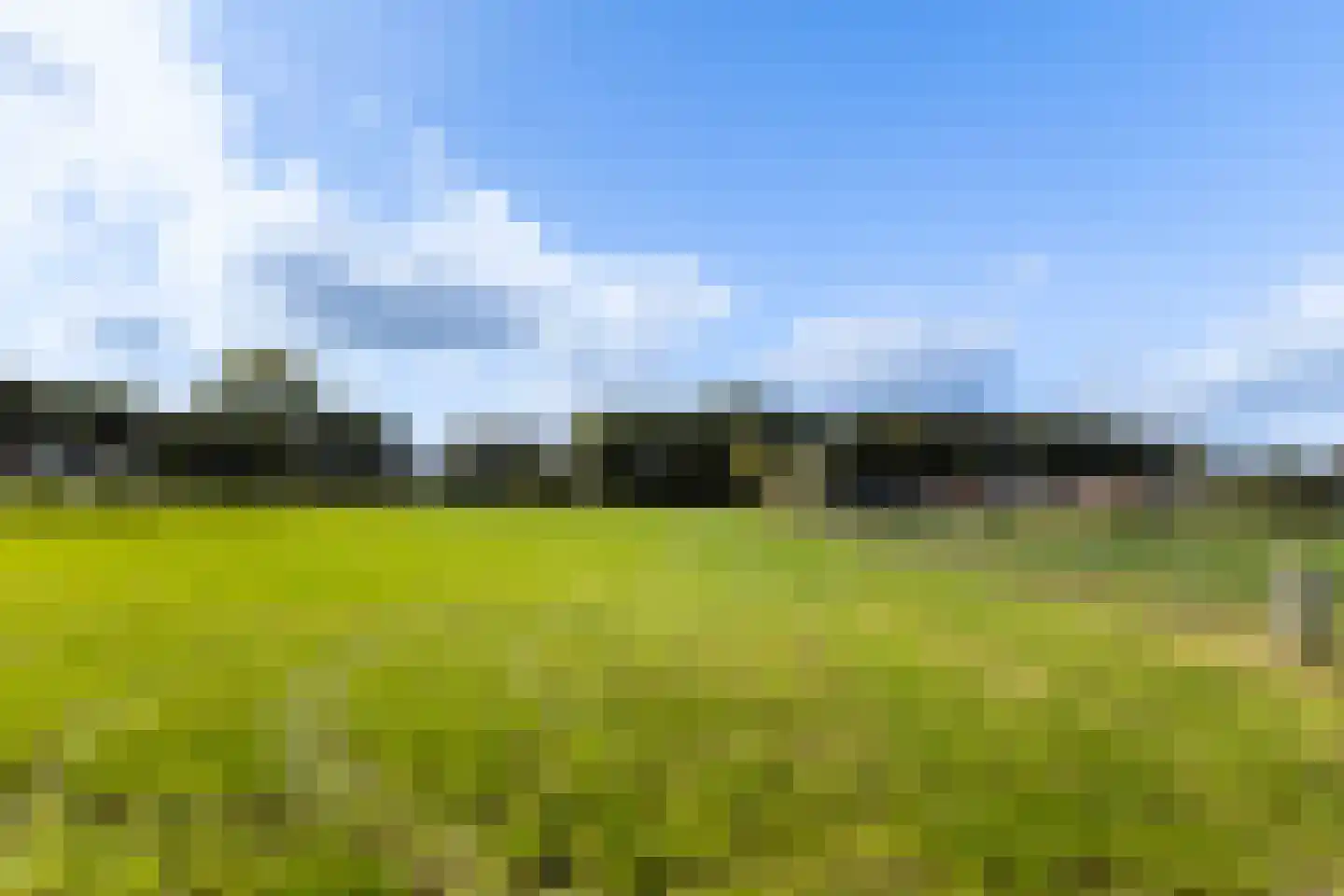 Riebroekseweg 49 Ermelo thumbnail 33