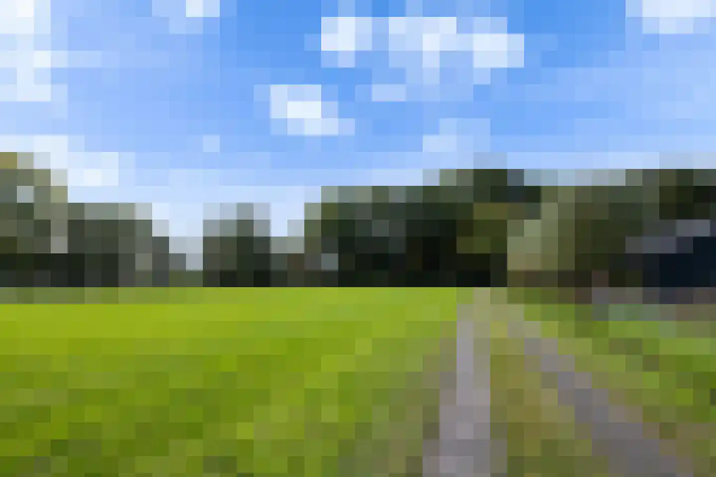 Riebroekseweg 49 Ermelo thumbnail 34