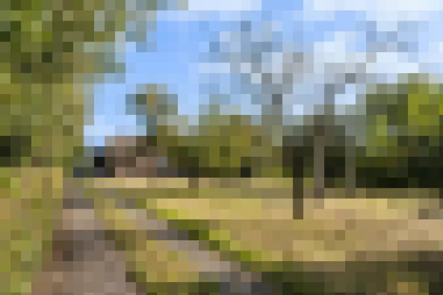 Riebroekseweg 49 Ermelo thumbnail 4