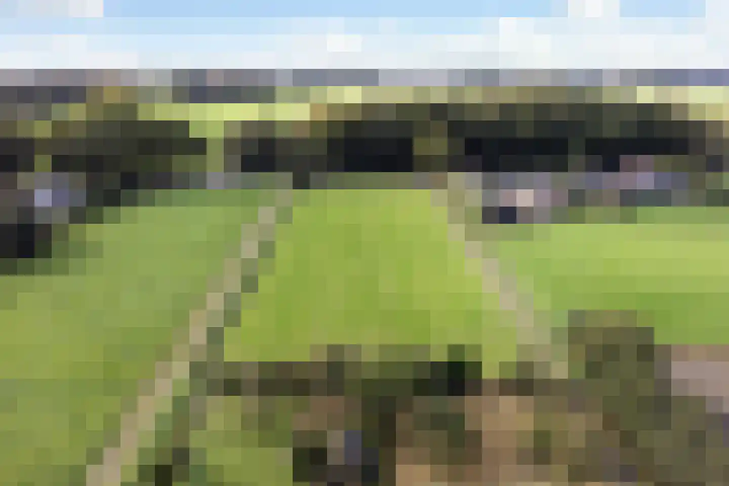 Riebroekseweg 49 Ermelo thumbnail 41