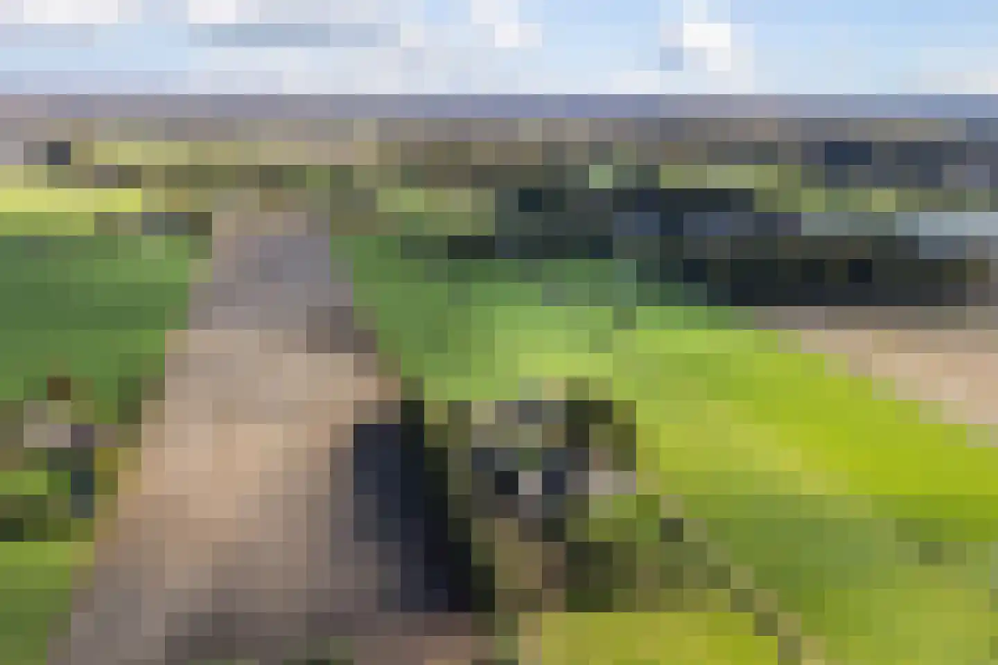 Riebroekseweg 49 Ermelo thumbnail 42