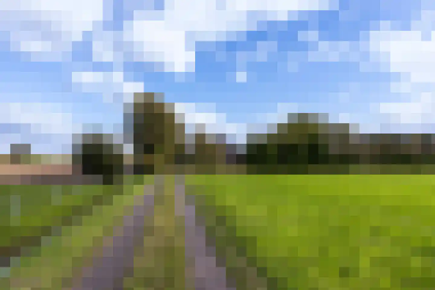 Riebroekseweg 49 Ermelo thumbnail 5