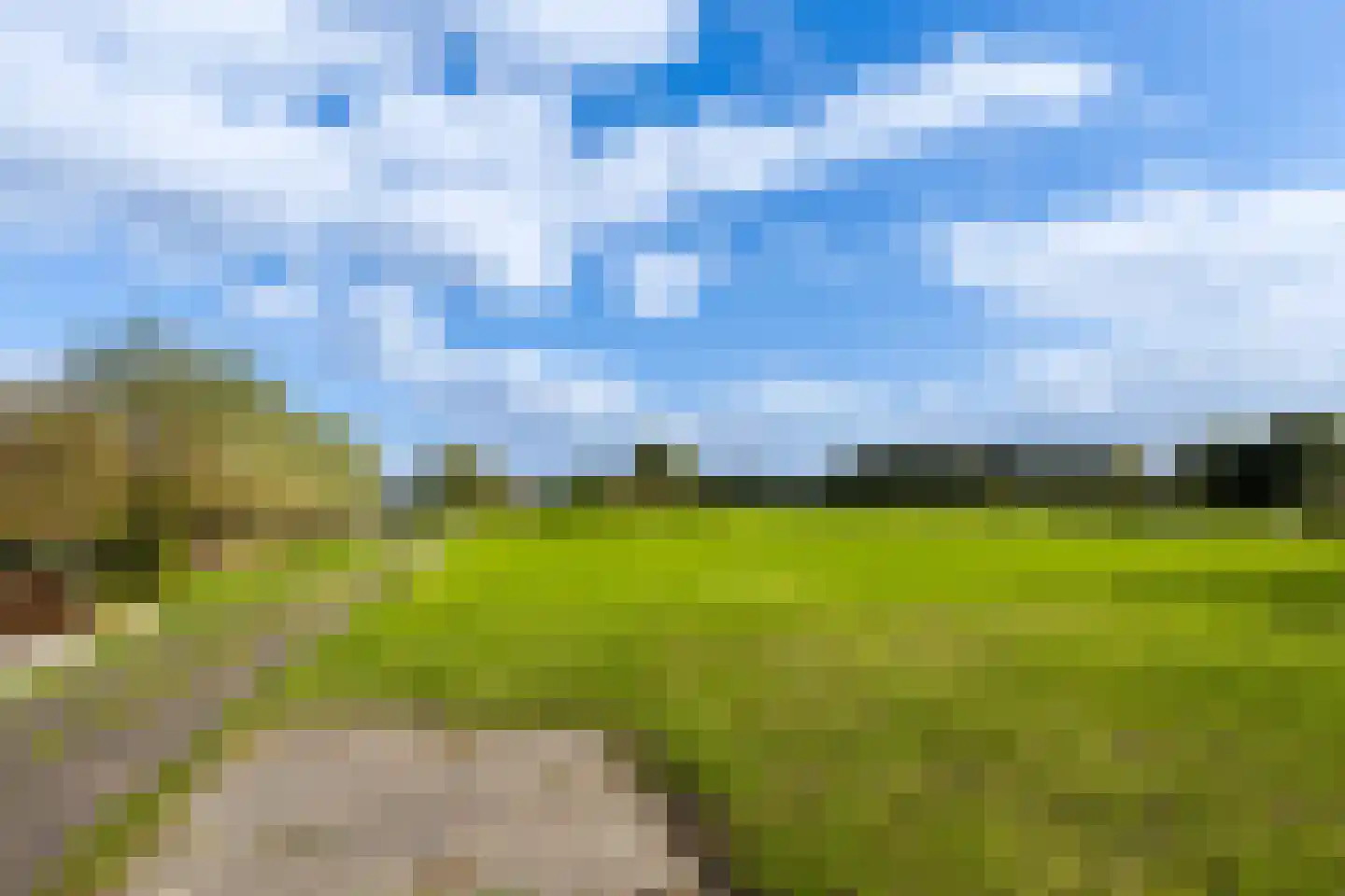 Riebroekseweg 49 Ermelo thumbnail 6