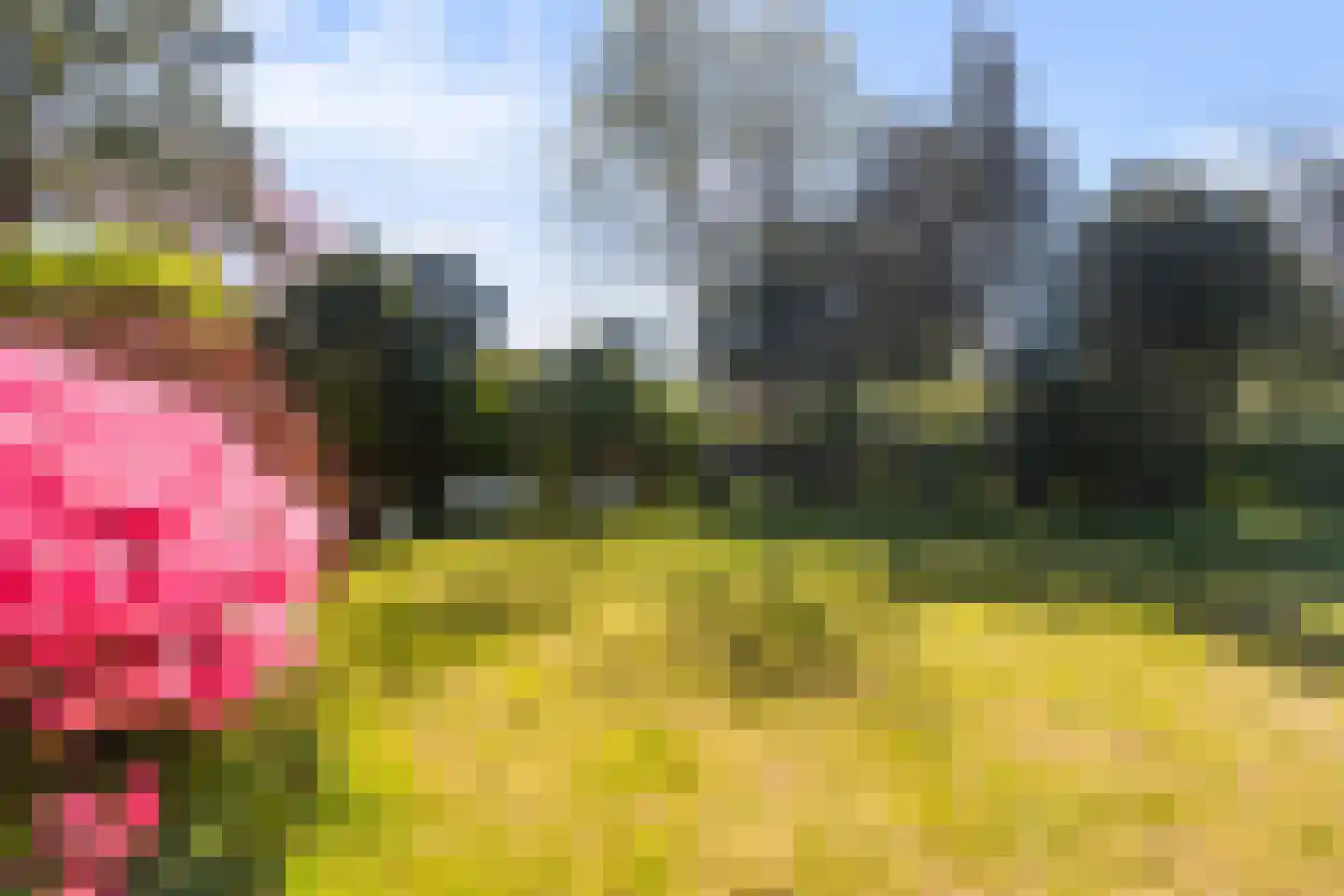 Ried 11 Leeuwarden thumbnail 10
