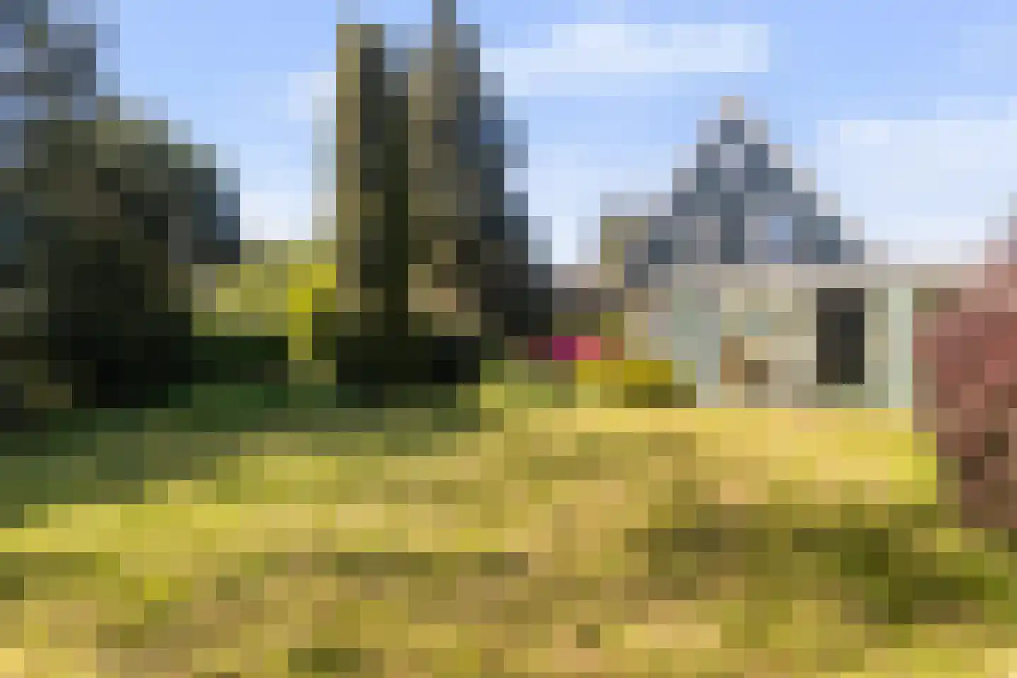 Ried 11 Leeuwarden thumbnail 11