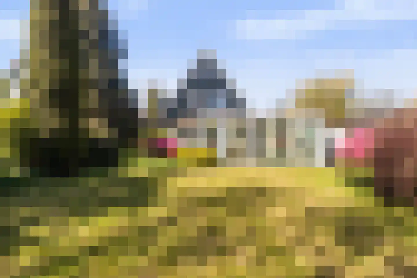 Ried 11 Leeuwarden thumbnail 12