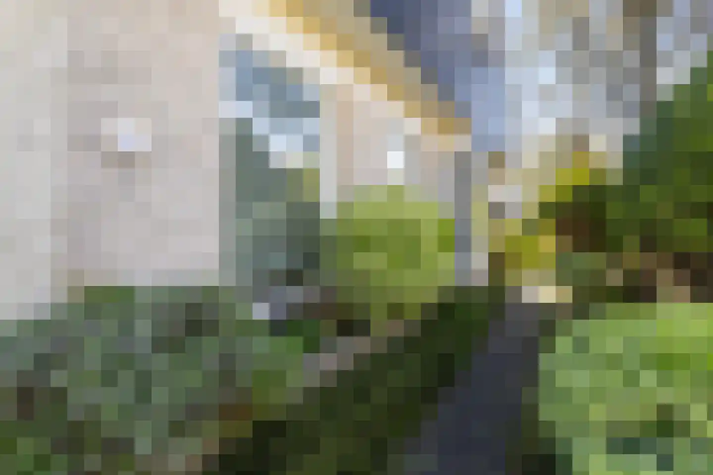 Ried 11 Leeuwarden thumbnail 13