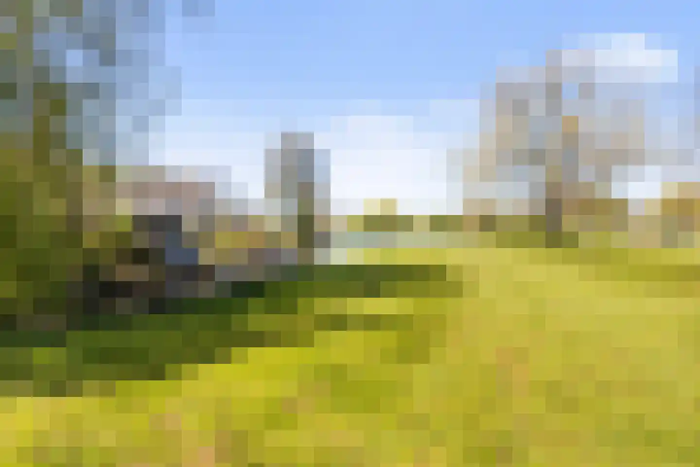 Ried 11 Leeuwarden thumbnail 14