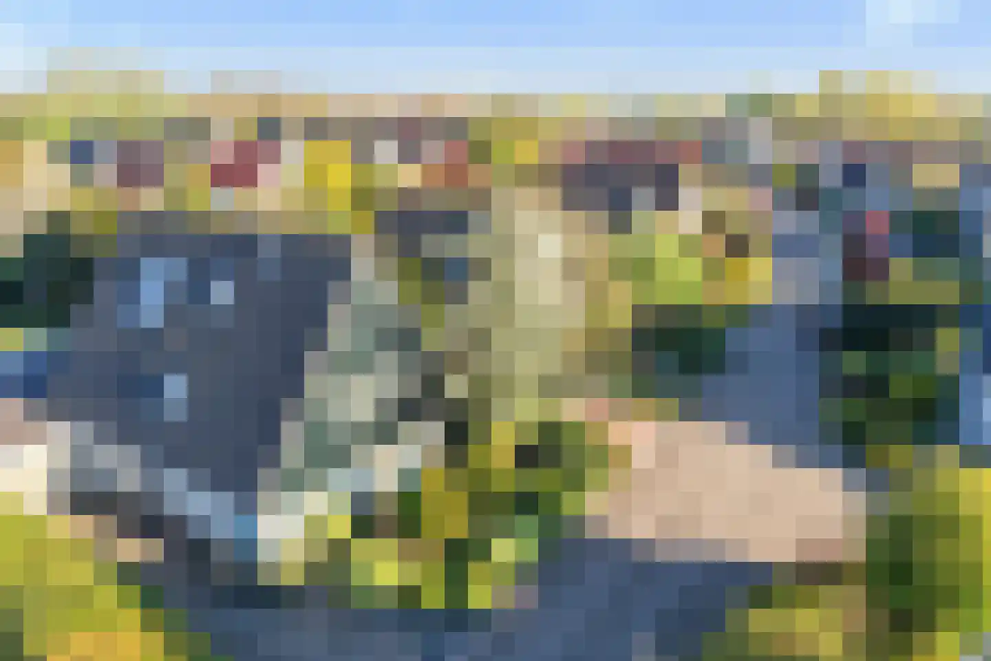 Ried 11 Leeuwarden thumbnail 15