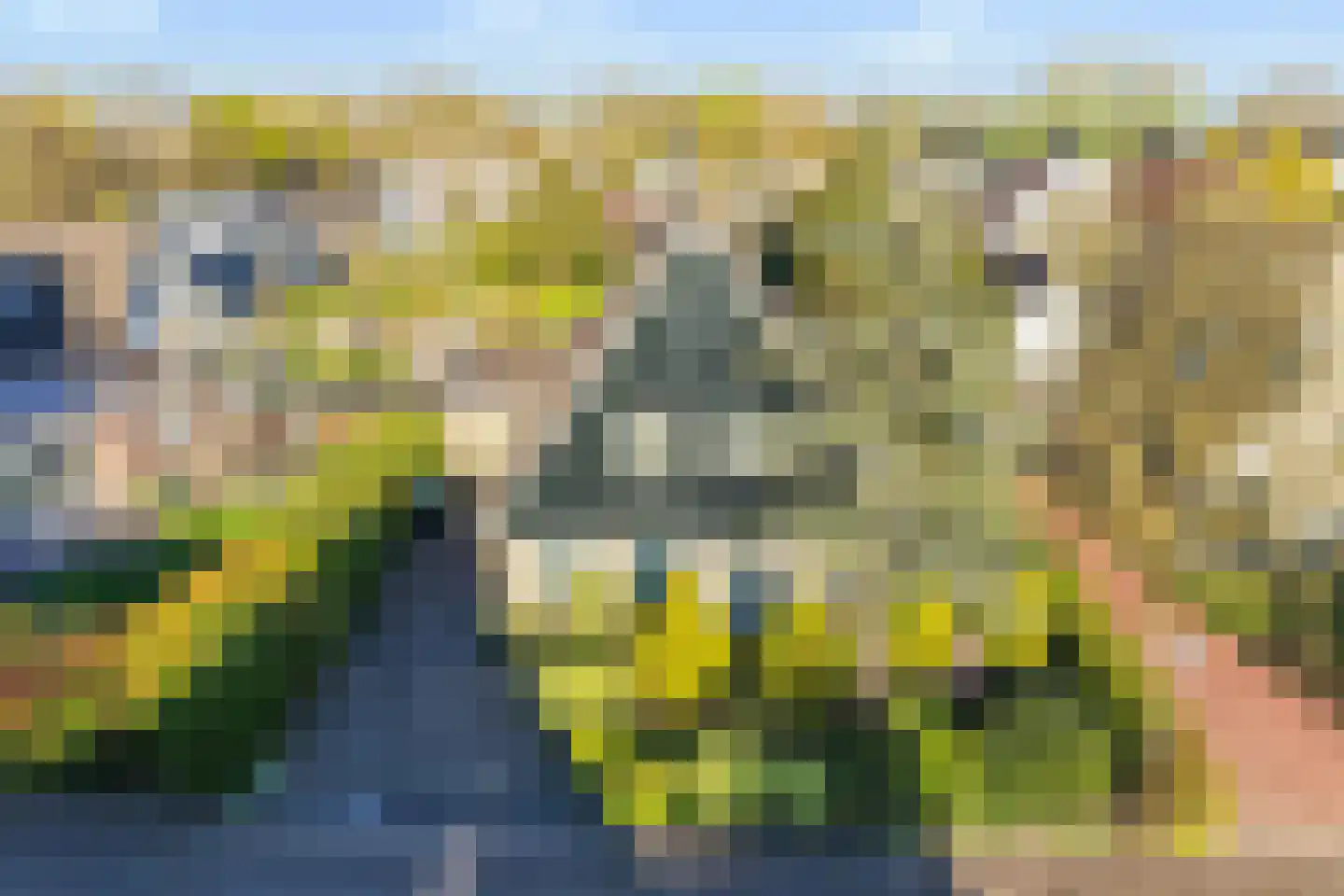 Ried 11 Leeuwarden thumbnail 16