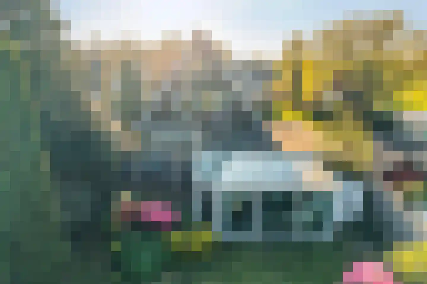 Ried 11 Leeuwarden thumbnail 18