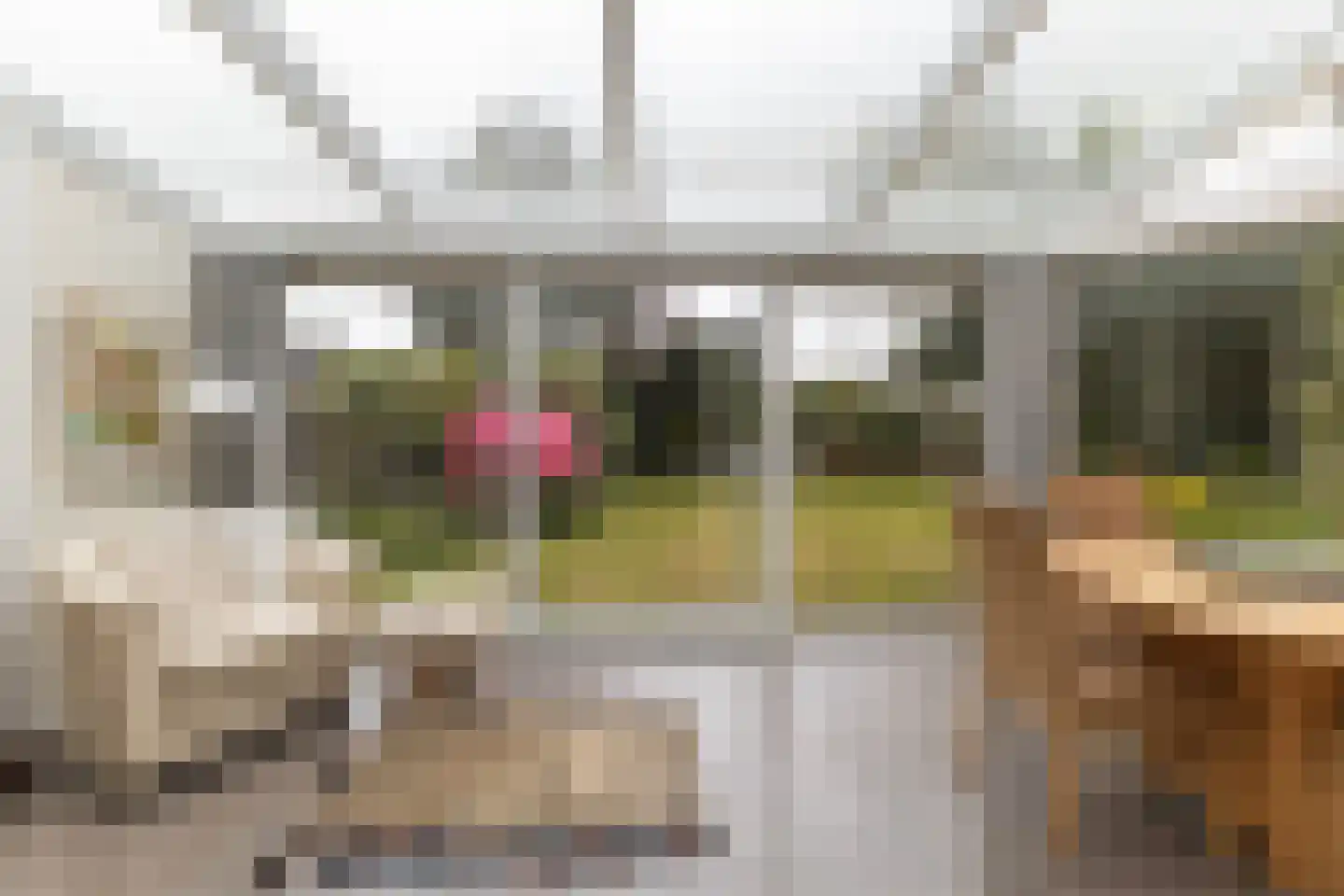 Ried 11 Leeuwarden thumbnail 31