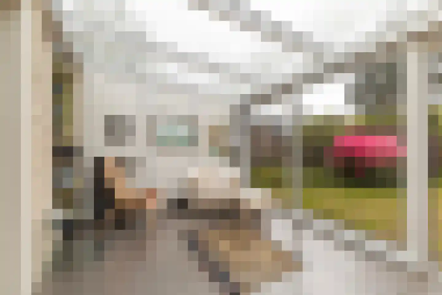 Ried 11 Leeuwarden thumbnail 32
