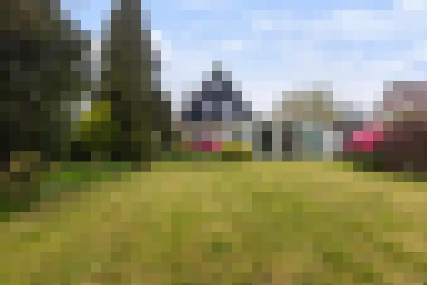Ried 11 Leeuwarden thumbnail 4