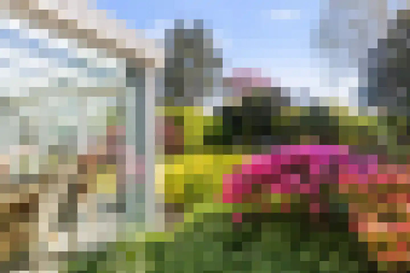 Ried 11 Leeuwarden thumbnail 9
