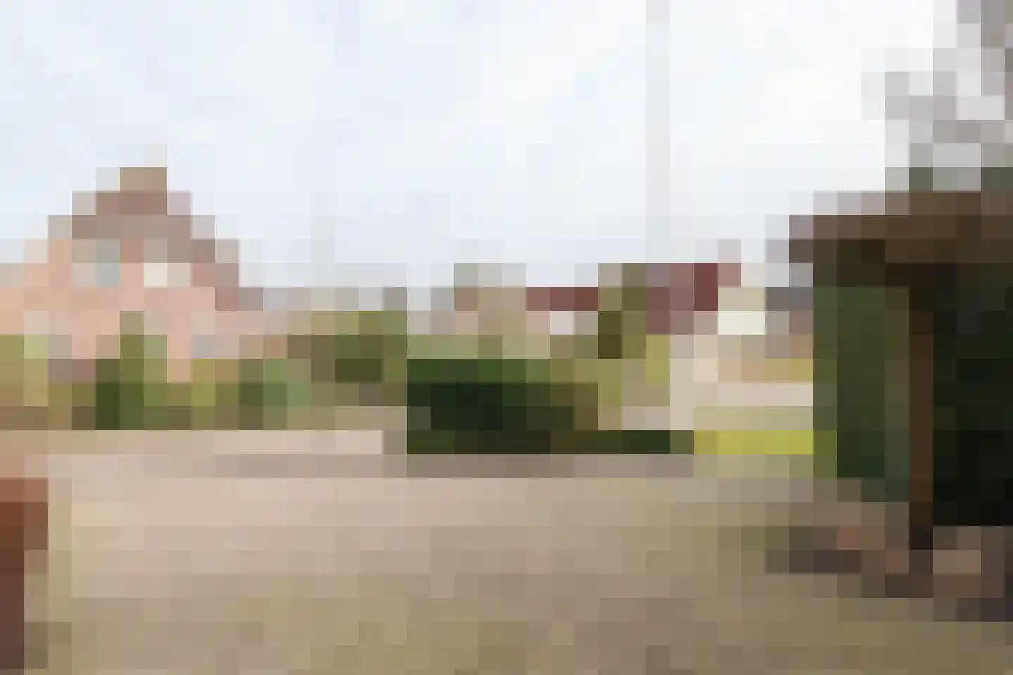 Ried 14 Leeuwarden thumbnail 13