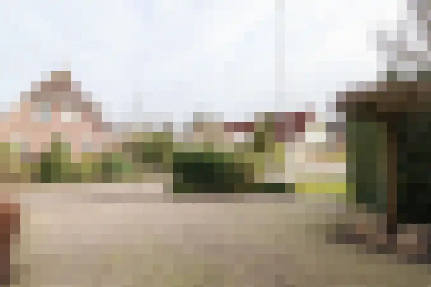 Ried 14 Leeuwarden thumbnail 13