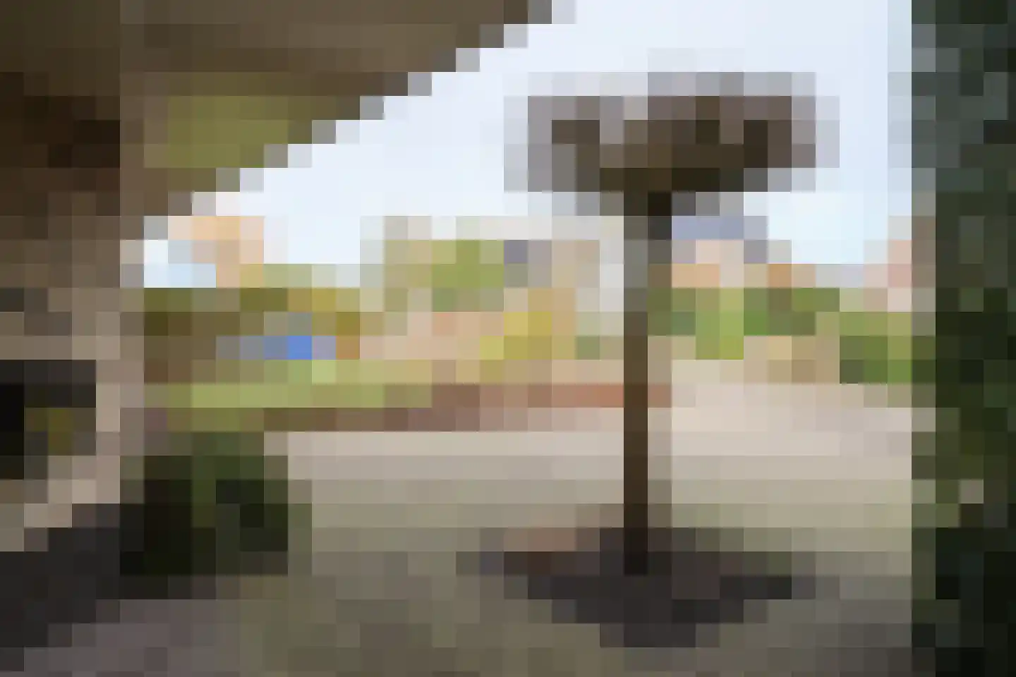 Ried 14 Leeuwarden thumbnail 14